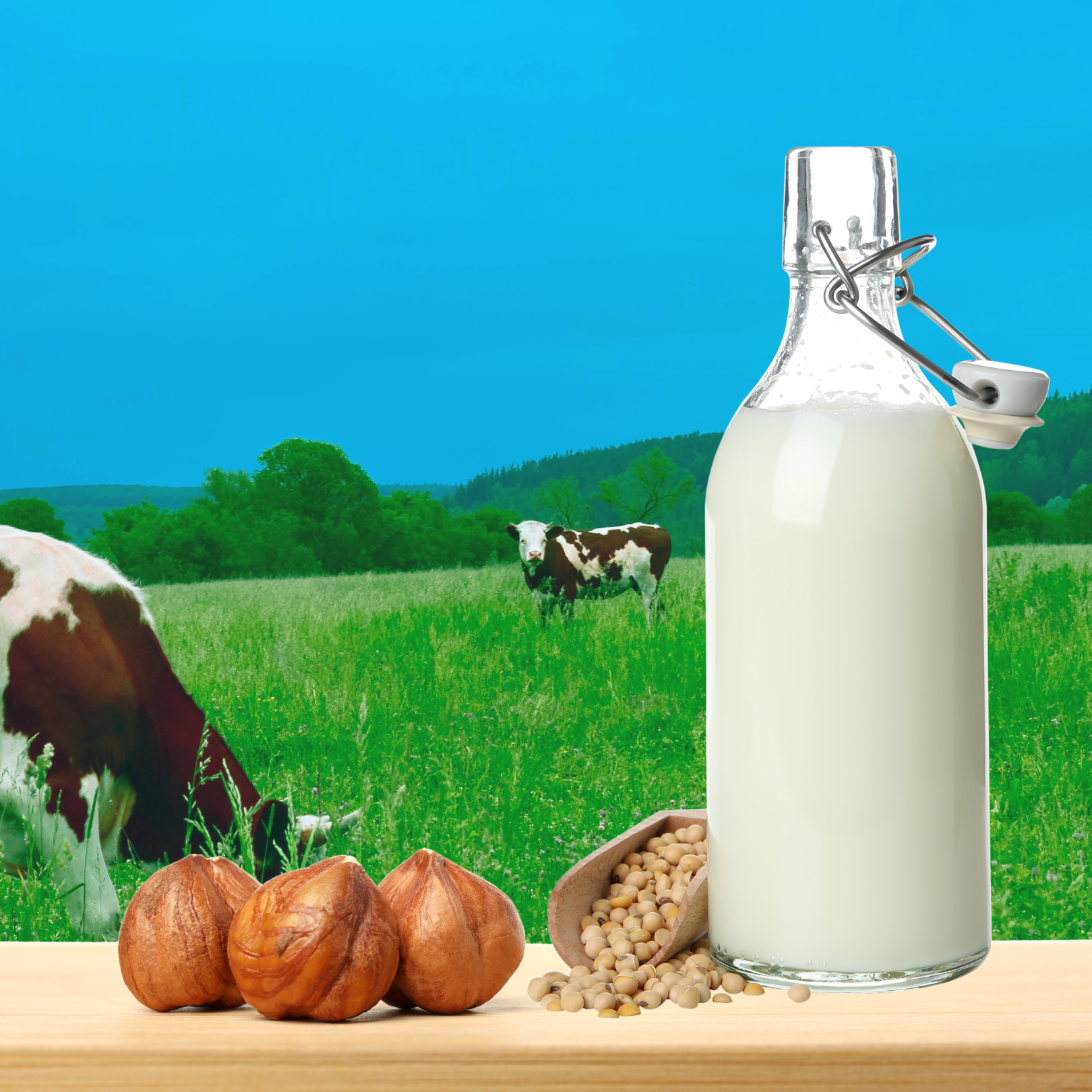 MILK